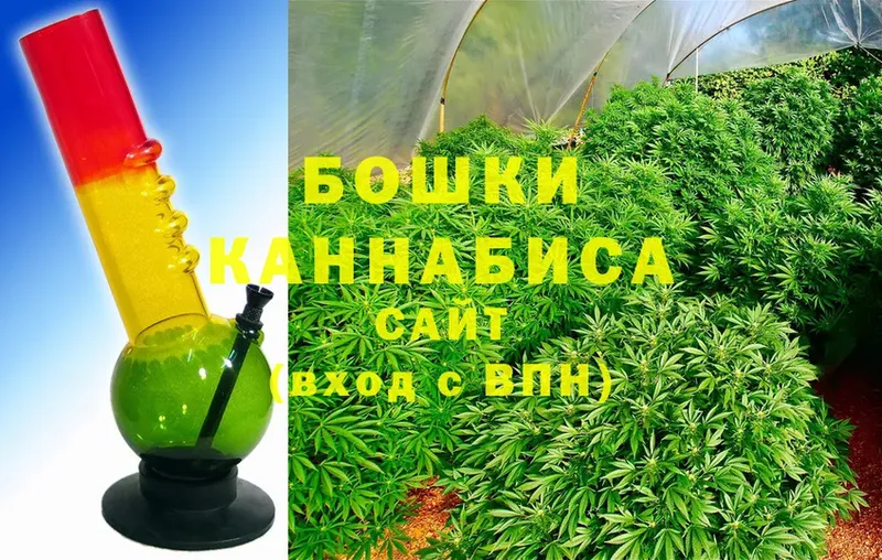 Каннабис SATIVA & INDICA  Холмск 